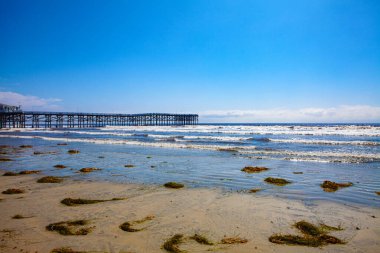 Coronavirus karantinası sırasında boş San Diego plajı