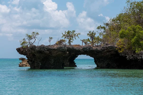 Zanzibar güzel Bay