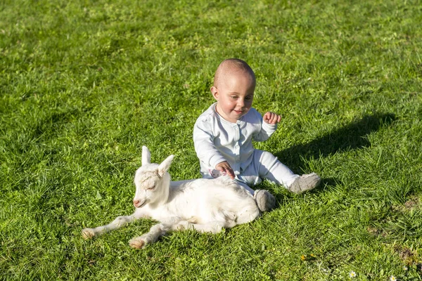 Baby and goatling on spring play together — Stock Photo, Image