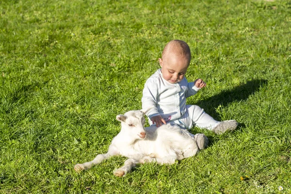 아기와 봄 날에 goatling 함께 재생 — 스톡 사진