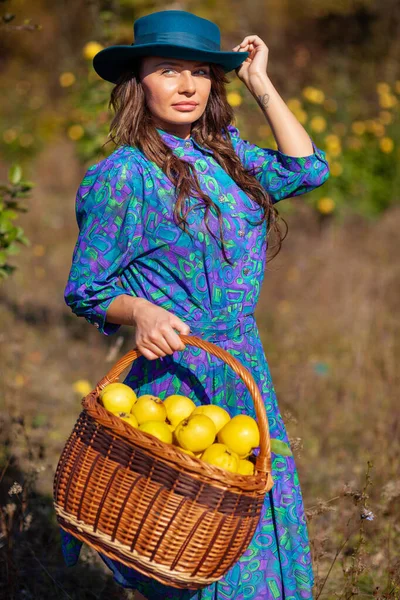 Woman hold full basket of fruits at plantation of quinces — Stock Photo, Image