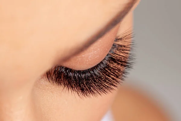Woman Eyes with Long Eyelashes. Eyelash Extension. Beautiful Las — Stock Photo, Image