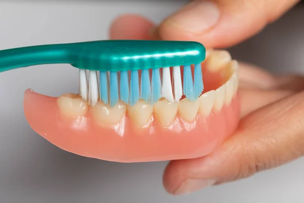 Dentist cleaning dental prothesis with toothbrush