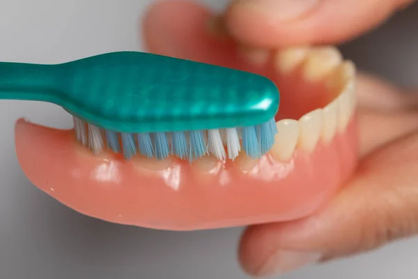 Toothbrush clean dental prothesis denture