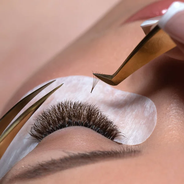 Eyelash Extension Procedure Woman Eye Long Eyelashes Lashes Close Tweezers — Stock Photo, Image