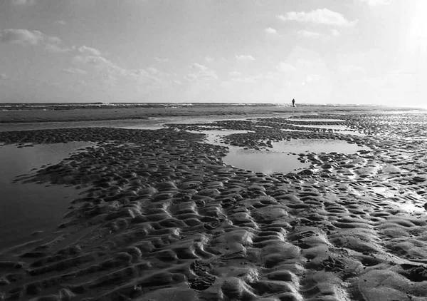 Schwarz Weiß Foto Strand Der Nordsee — Stockfoto