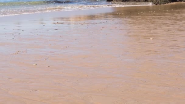 Praia de Vau em Portimao, Portugal — Vídeo de Stock