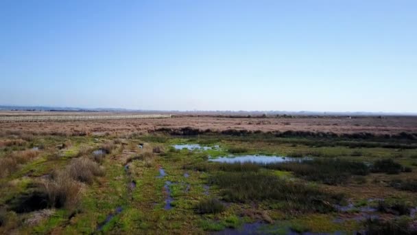 Veduta aerea del paesaggio rurale — Video Stock