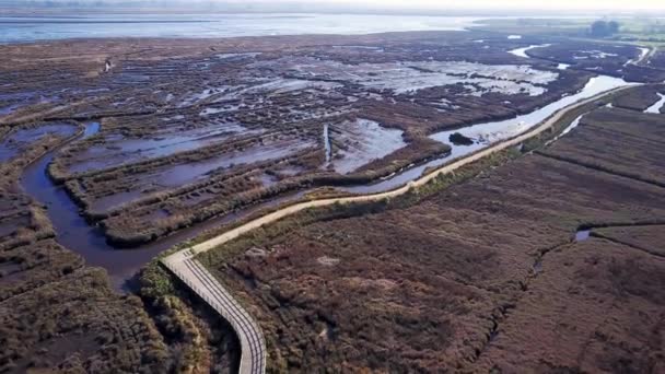 Flygfoto över landskapet på landsbygden — Stockvideo