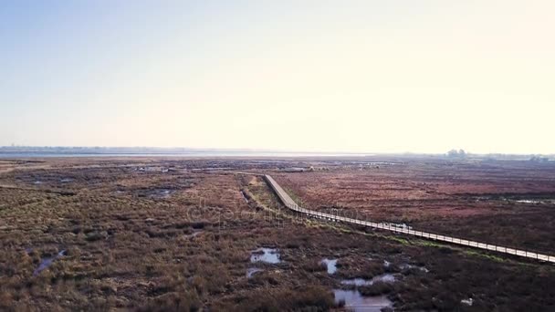 Вид з повітря на сільський пейзаж — стокове відео