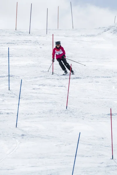 Noémi Clasing során a Ski országos bajnokság — Stock Fotó