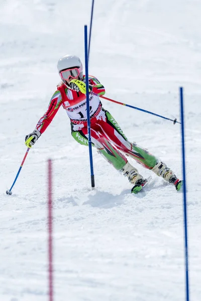 Catarina Carvalho durante el Campeonato Nacional de Esquí —  Fotos de Stock