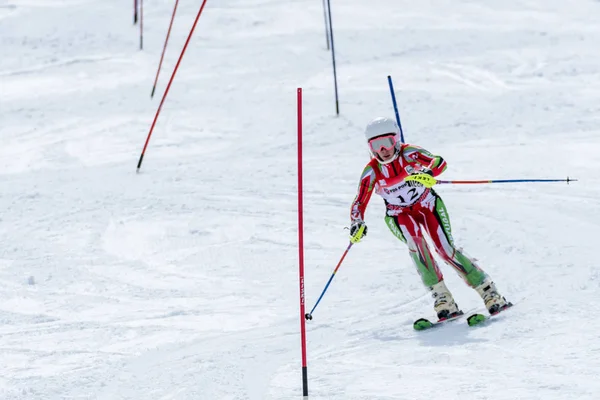 Catarina Carvalho during the Ski National Championships — Stock Photo, Image