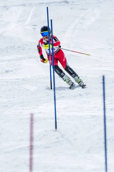 Мануэль Рамос во время лыжного чемпионата — стоковое фото