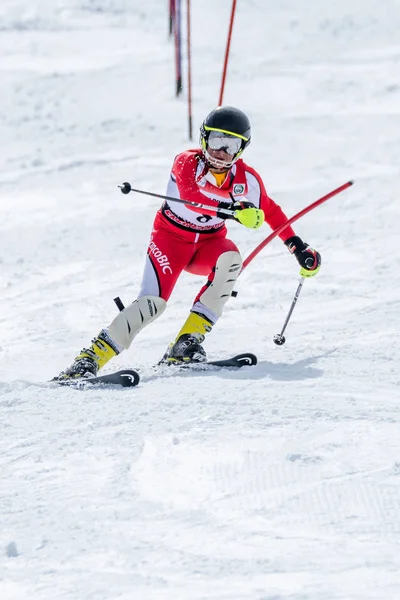 Jose Soares tijdens de nationale kampioenschappen van Ski — Stockfoto