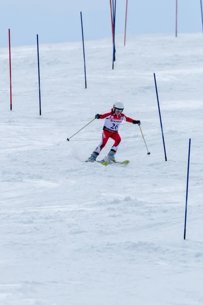 Carla Couto durante el Campeonato Nacional de Esquí — Foto de Stock