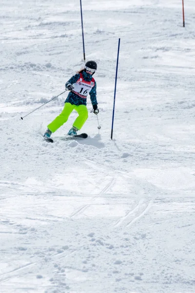 Барбара Сілва під час лижних національні чемпіонати — стокове фото