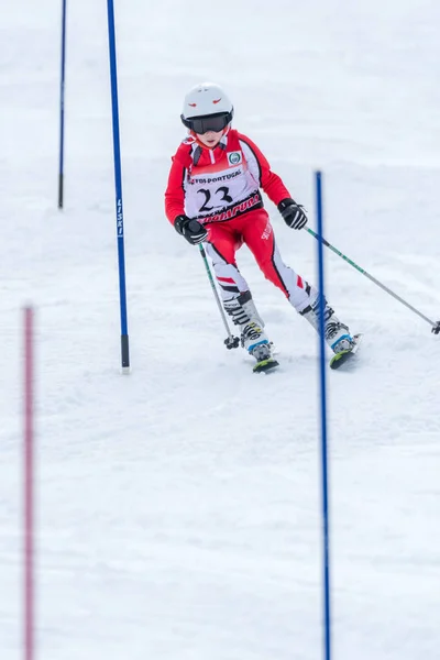 Barbara Silva tijdens de nationale kampioenschappen van Ski — Stockfoto