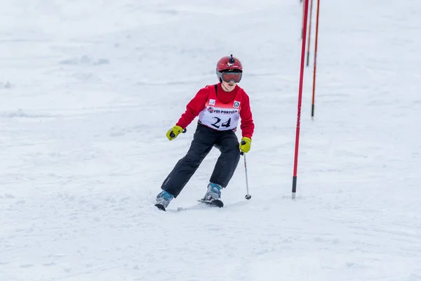 Dinis Lagem durante i campionati nazionali di sci — Foto Stock