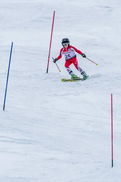 Gustavo Tavares κατά τη διάρκεια του σκι εθνικά πρωταθλήματα — Φωτογραφία Αρχείου