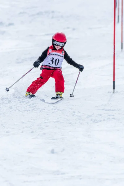Матеус Таварес во время лыжного чемпионата — стоковое фото