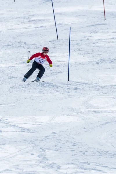 スキー選手権中にディニス Lagem — ストック写真