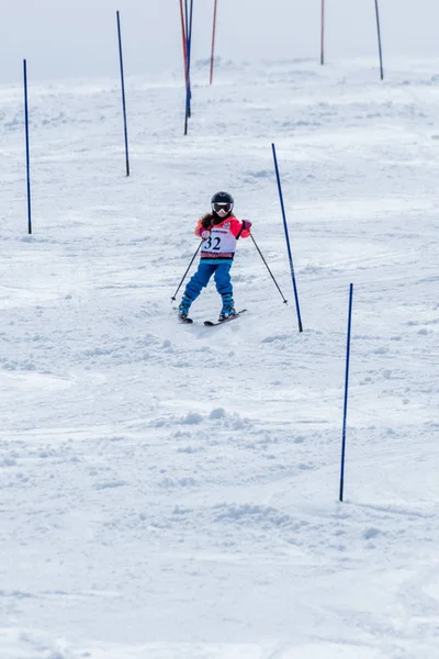 Beatriz Curto 스키 국립 선수권 대회 기간 동안 — 스톡 사진