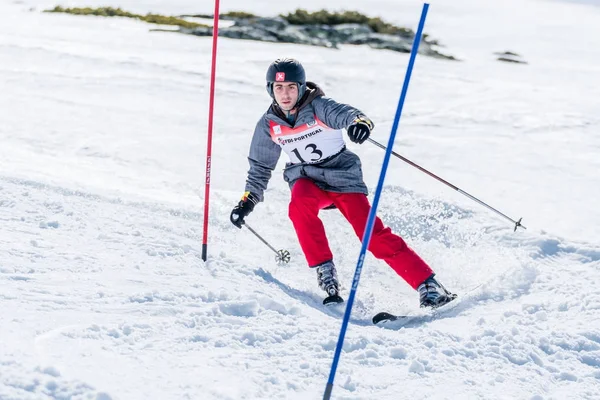 Afonso Fernandes során a Ski országos bajnokság — Stock Fotó