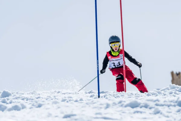 스키 국가 선수권 대회 기간 동안 마르셀 비센테 — 스톡 사진