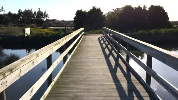 Point of view shot of riding a bicycle — Stock Video