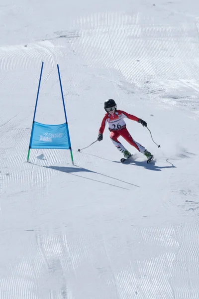Gustavo Tavares under Ski National Championships — Stockfoto