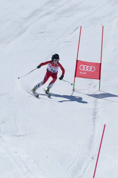 Gustavo Tavares durante el Campeonato Nacional de Esquí — Foto de Stock