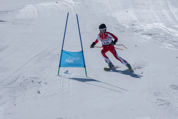 Diana Baptista durante o Campeonato Nacional de Esqui — Fotografia de Stock