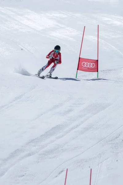 Marta Carvalho durante el Campeonato Nacional de Esquí — Foto de Stock