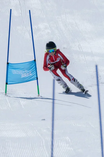 Марта Карвалью во время лыжного чемпионата — стоковое фото
