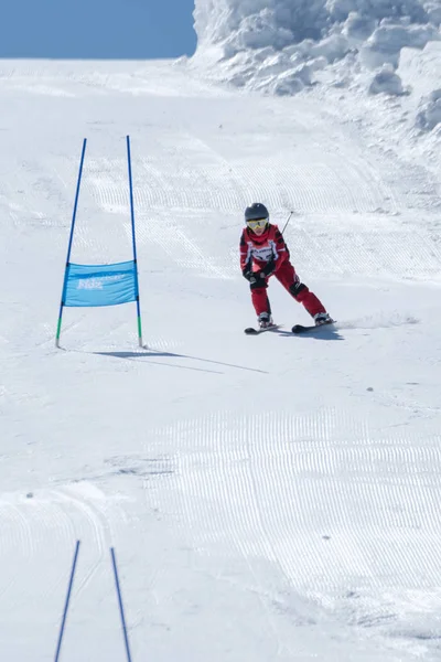 Marcelo Vicente durante i campionati nazionali di sci — Foto Stock