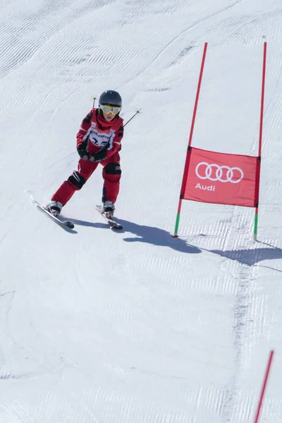 Marcelo Vicente során a Ski országos bajnokság — Stock Fotó