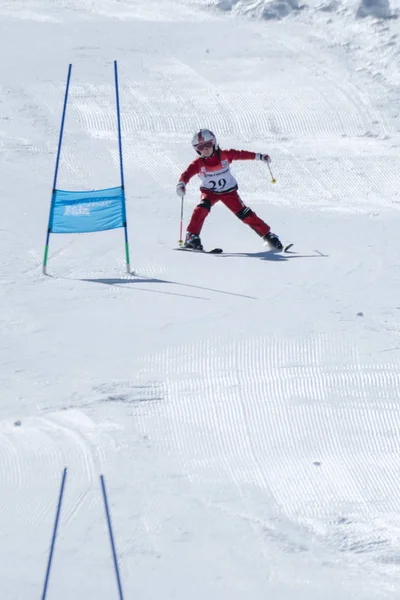 Leonor Carvalho during the Ski National Championships — Stock Photo, Image