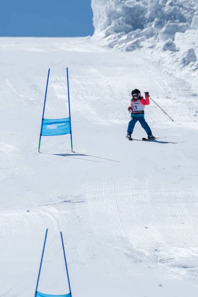Beatriz Curto 스키 국립 선수권 대회 기간 동안 — 스톡 사진