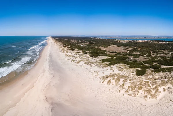 Luftaufnahme vom Strand von Torreira — Stockfoto