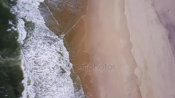 Océano olas estrellándose en la playa — Vídeos de Stock