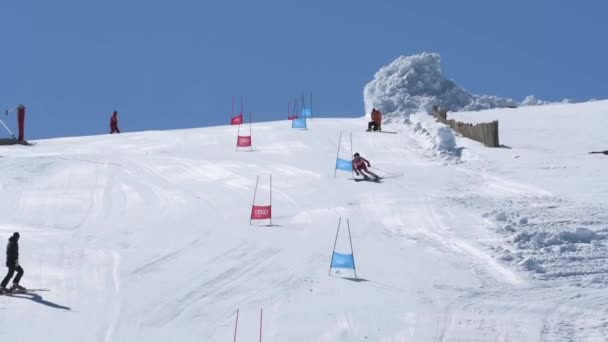 Joes Höhenflug bei den Ski-Staatsmeisterschaften — Stockvideo