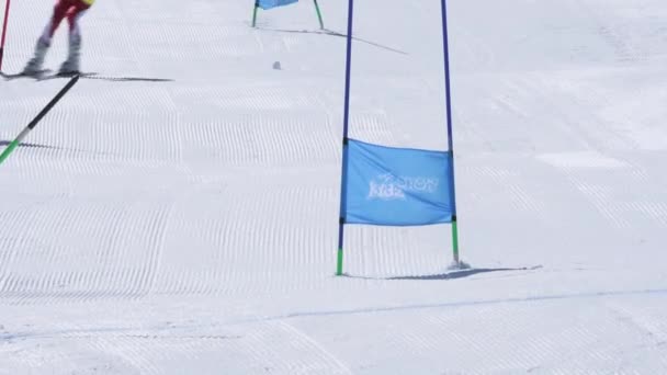 Atleta durante el Campeonato Nacional de Esquí — Vídeo de stock