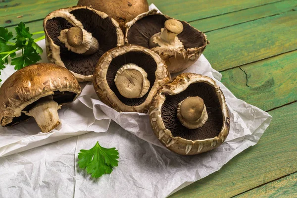 新鲜的生棕色蘑菇 — 图库照片