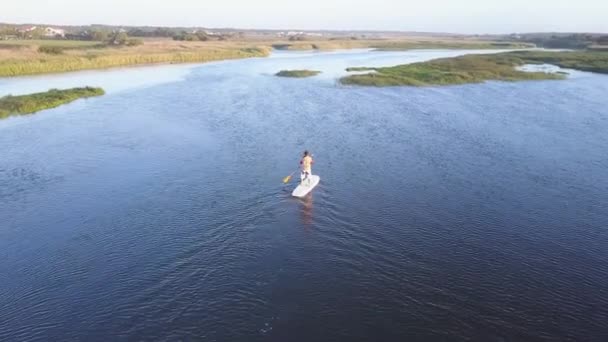 男 paddleboarding 立ち上がる — ストック動画