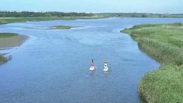 Man and woman stand up paddleboarding — Stock Video