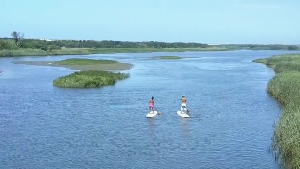 Άνδρας και γυναίκα stand up paddleboarding — Αρχείο Βίντεο