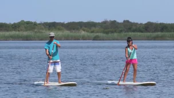 Homem e mulher se levantam paddleboarding — Vídeo de Stock