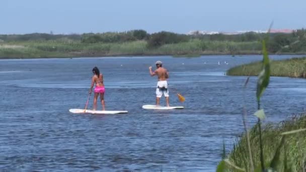 Hombre y mujer de pie paddleboarding — Vídeos de Stock