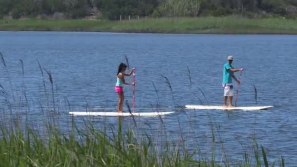 Homem e mulher se levantam paddleboarding — Vídeo de Stock